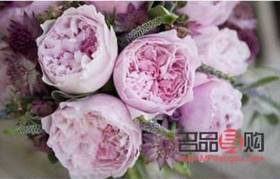 <h3>美容養(yǎng)顏之花：探尋花朵中的美麗秘密</h3>