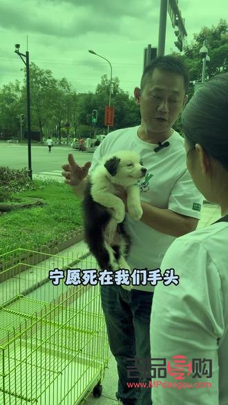 內(nèi)雙眼皮男生的魅力之謎