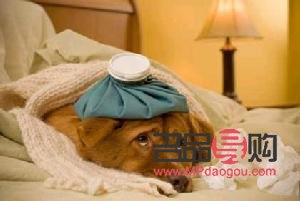 <h3>流感發(fā)燒全面護理指南：從預(yù)防到康復(fù)</h3>