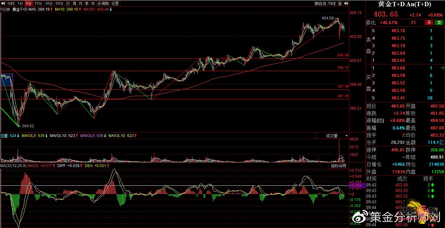 <h3>上海黃金金價實時行情分析與展望</h3>