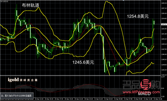 上海黃金金價實時行情分析與展望