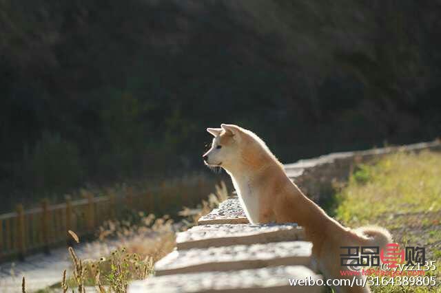 早上起來眼睛下面腫是怎么回事(早上起來眼睛下面腫是怎么回事兒)