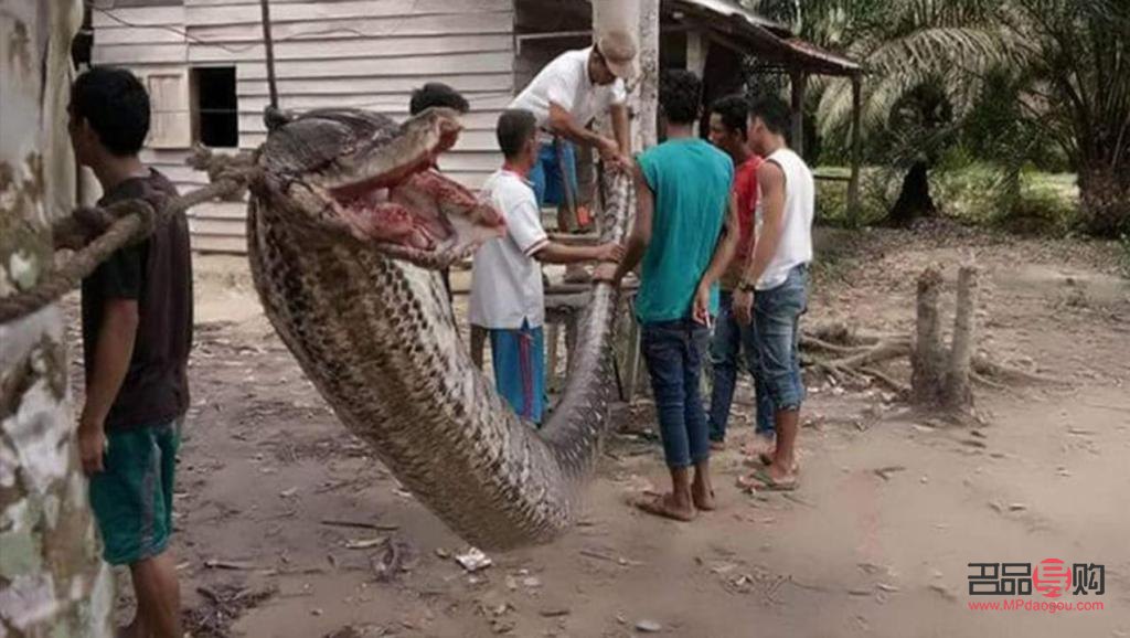 米東區(qū)男士禮物店在哪(米東區(qū)男士禮物店在哪里)