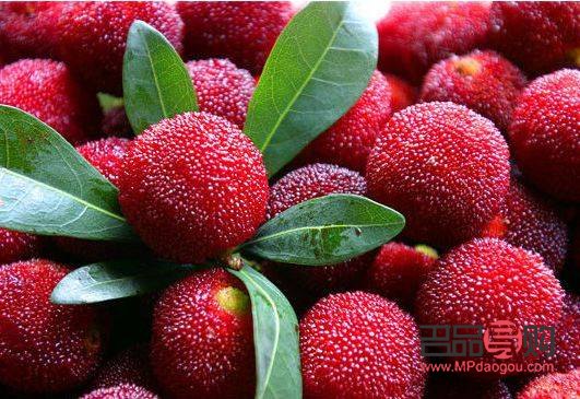 什么東西能美容(什么東西能美容養(yǎng)顏)