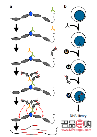 <h3>彩妝怎么拼？打造完美妝容的必備技巧與步驟</h3>