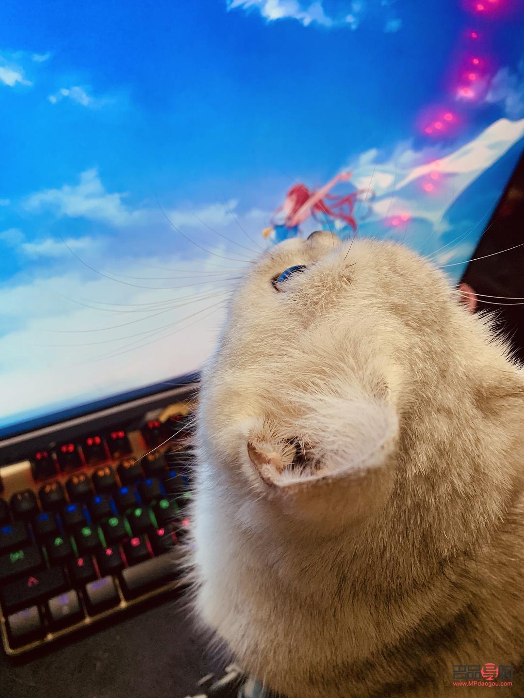 眼鏡護(hù)理液能擦身體嗎