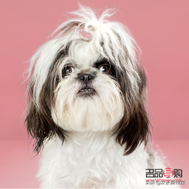 <h3>日式美容的奧秘與實(shí)踐</h3>