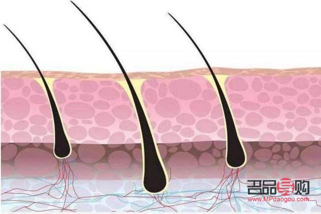 身體四種毛發(fā)怎么護(hù)理(身體四種毛發(fā)怎么護(hù)理的)