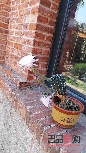 美容怎么樣頭發(fā)(美容怎么樣頭發(fā)好看)