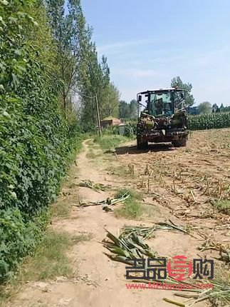 <h3>企鵝收獲禮物的奇妙之旅</h3>