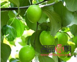 <h3>探索隆胸美容之道，實(shí)現(xiàn)自信之美</h3>