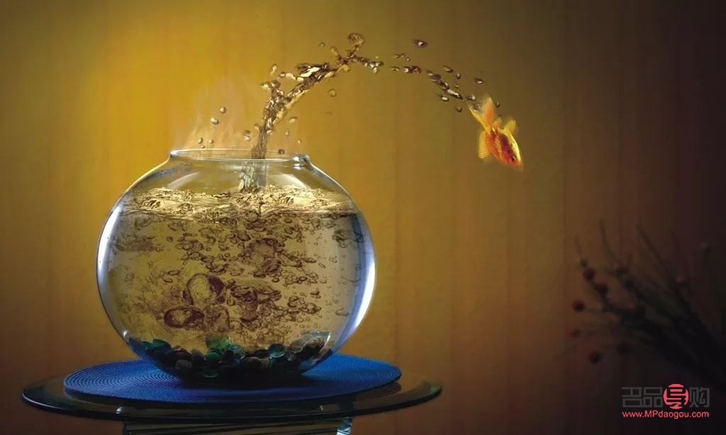 家族搬家送什么禮物(家族搬家送什么禮物比較好)