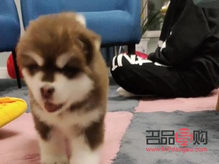 梵什么美容院(梵什么美容院名字好聽)