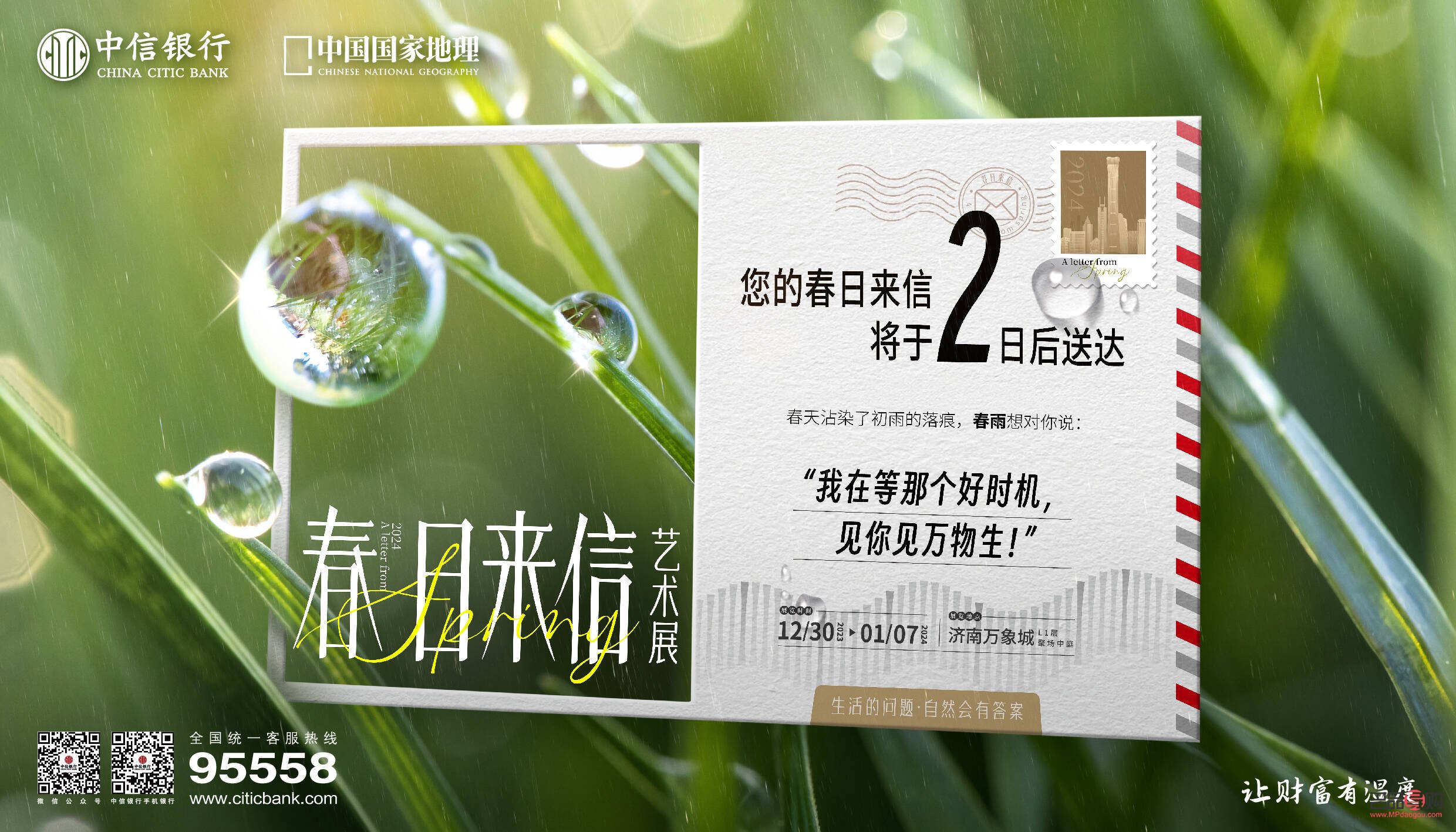 中信銀行紙黃金行情查看指南