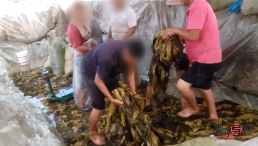 美俏彩妝怎么拿貨(美俏彩妝怎么拿貨的)