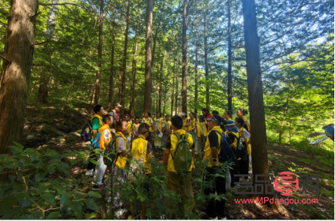 <h3>探索最佳眼影品牌：打造魅力眼妝的</h3>