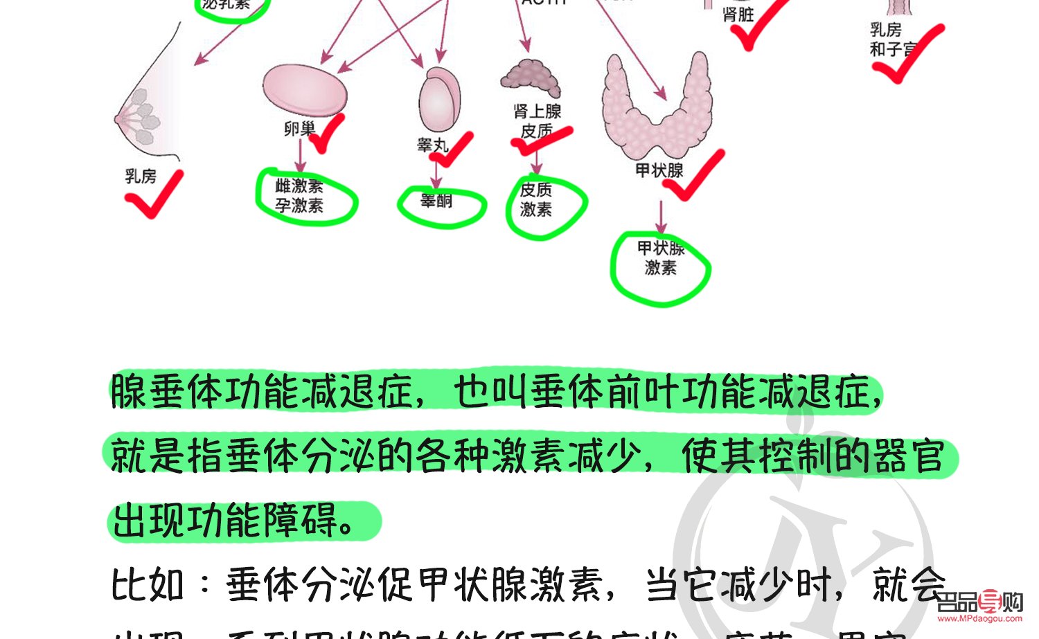 <h3>激素治療下的身體護(hù)理之道</h3>