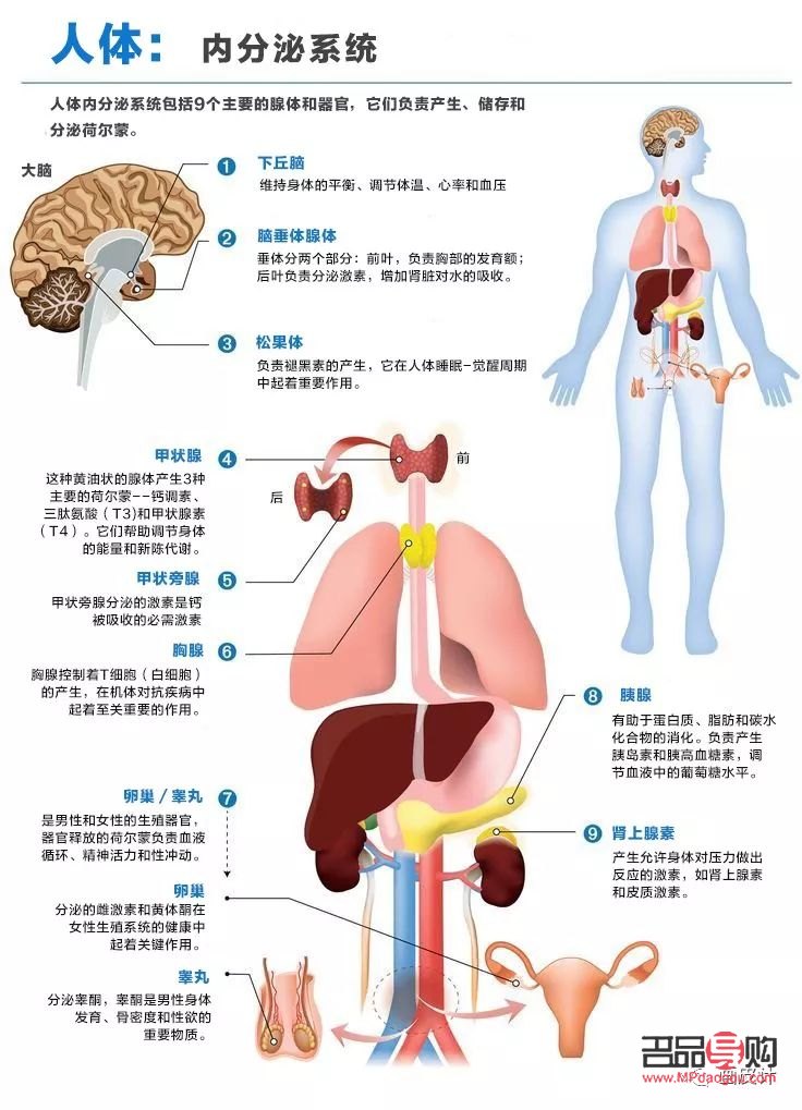 激素治療下的身體護(hù)理之道