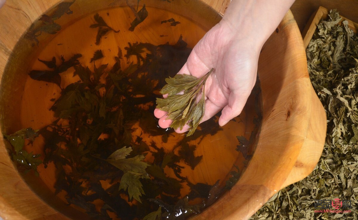 艾葉泡腳美容嗎(艾葉泡腳可以美容養(yǎng)顏嗎)