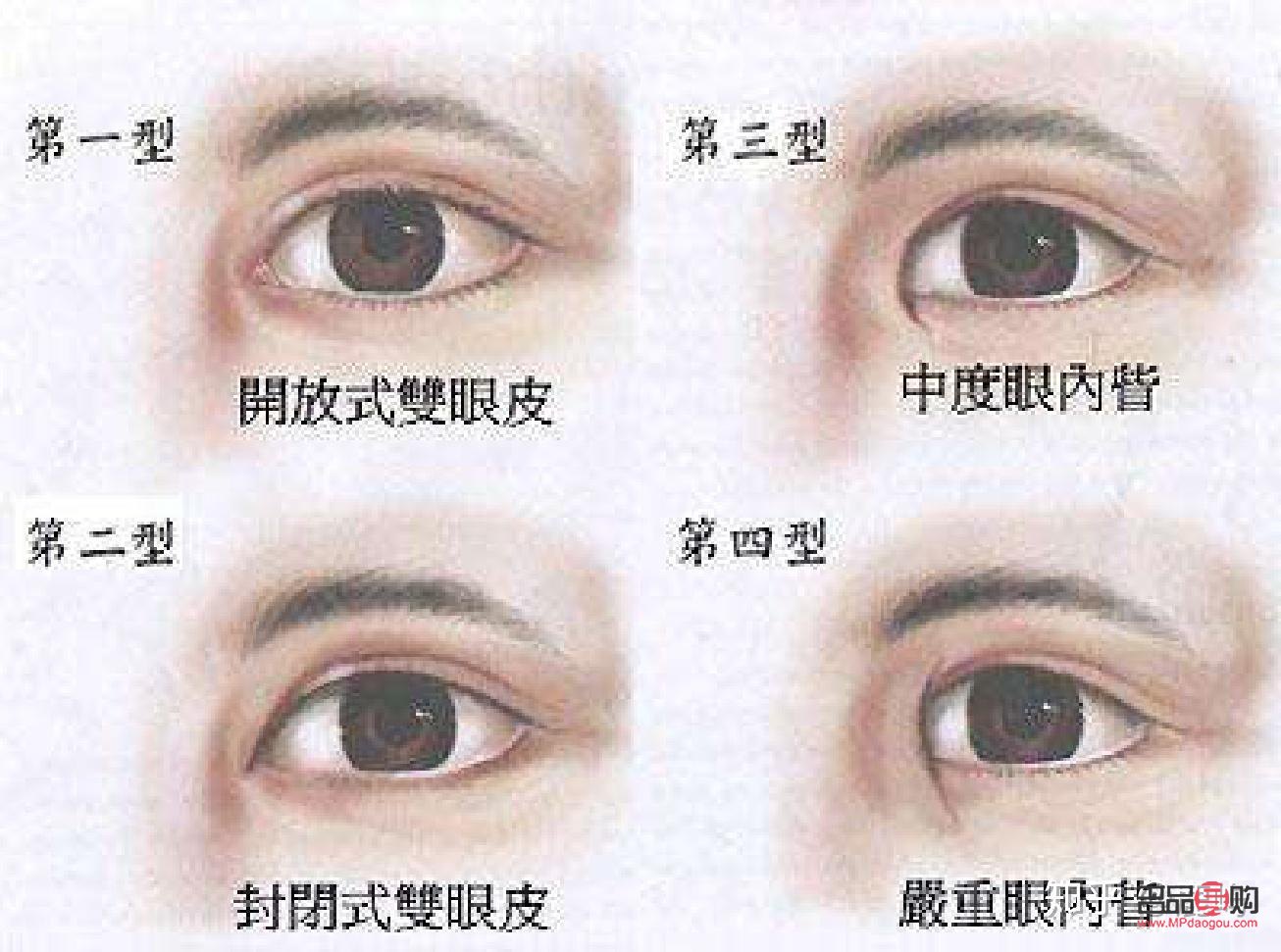 雙眼皮分為哪種好看(雙眼皮分為哪種好看的圖片)