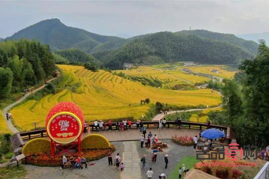 <h1>彩妝之選：打造完美妝容的秘訣</h1>