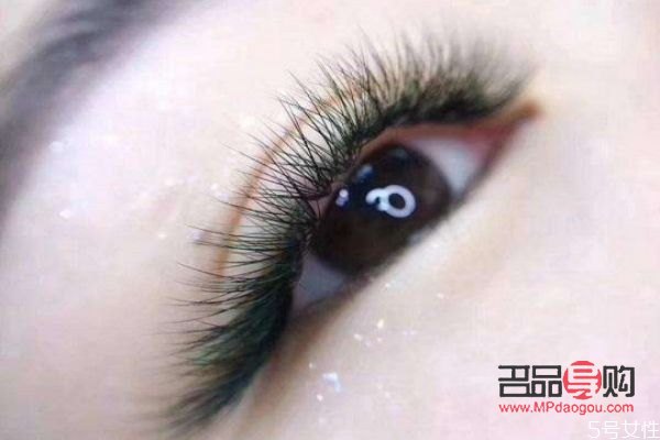 做眼睫毛需要多少錢(做眼睫毛需要多少錢)