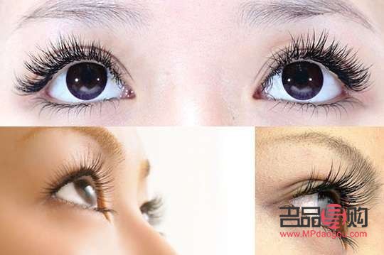 做眼睫毛需要多少錢(做眼睫毛需要多少錢)