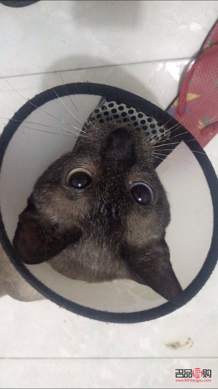 眼突出怎么治療(眼突出怎么改善)