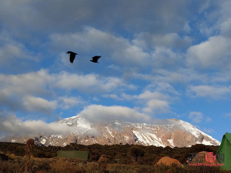 11歲喜歡什么禮物(11歲喜歡什么禮物女孩)