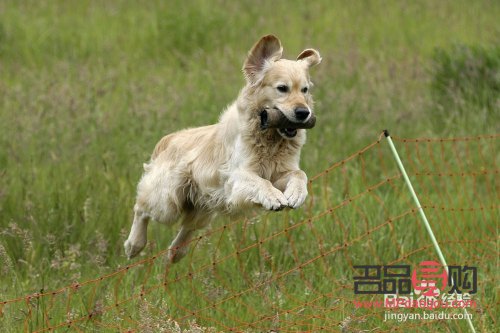 學(xué)美容是為了什么(學(xué)美容是為了什么呢)