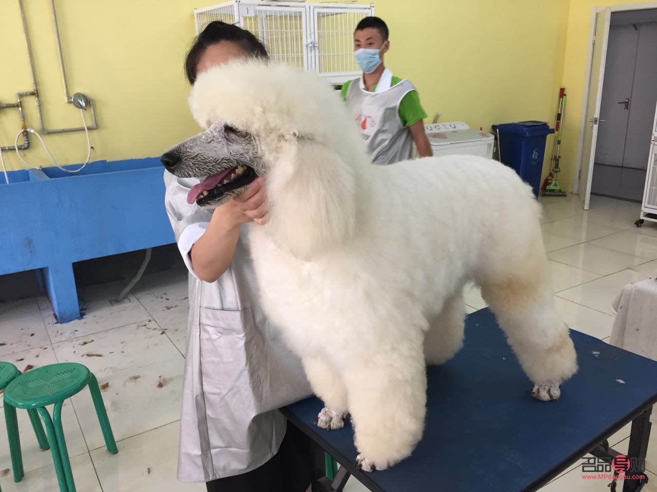 美容業(yè)有哪些職業(yè)(美容業(yè)有哪些職業(yè)類型)