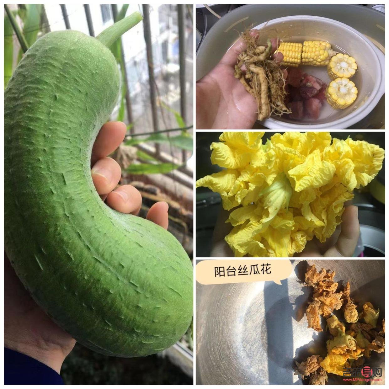 茶水可以美容嗎(茶水可以美容嗎女性)