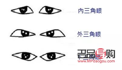 男人眼型大全(男人眼型大全名稱及圖片)