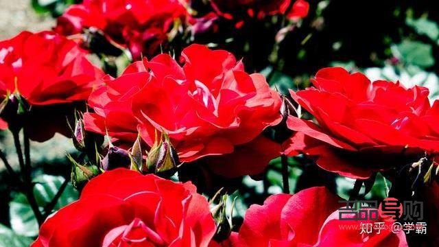 怎么要生日禮物(怎么要生日禮物比較好)