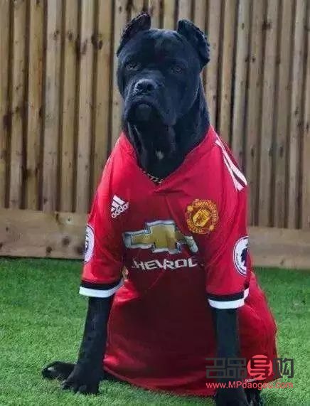 <h3>彩妝產(chǎn)品拍照技巧大揭秘</h3>