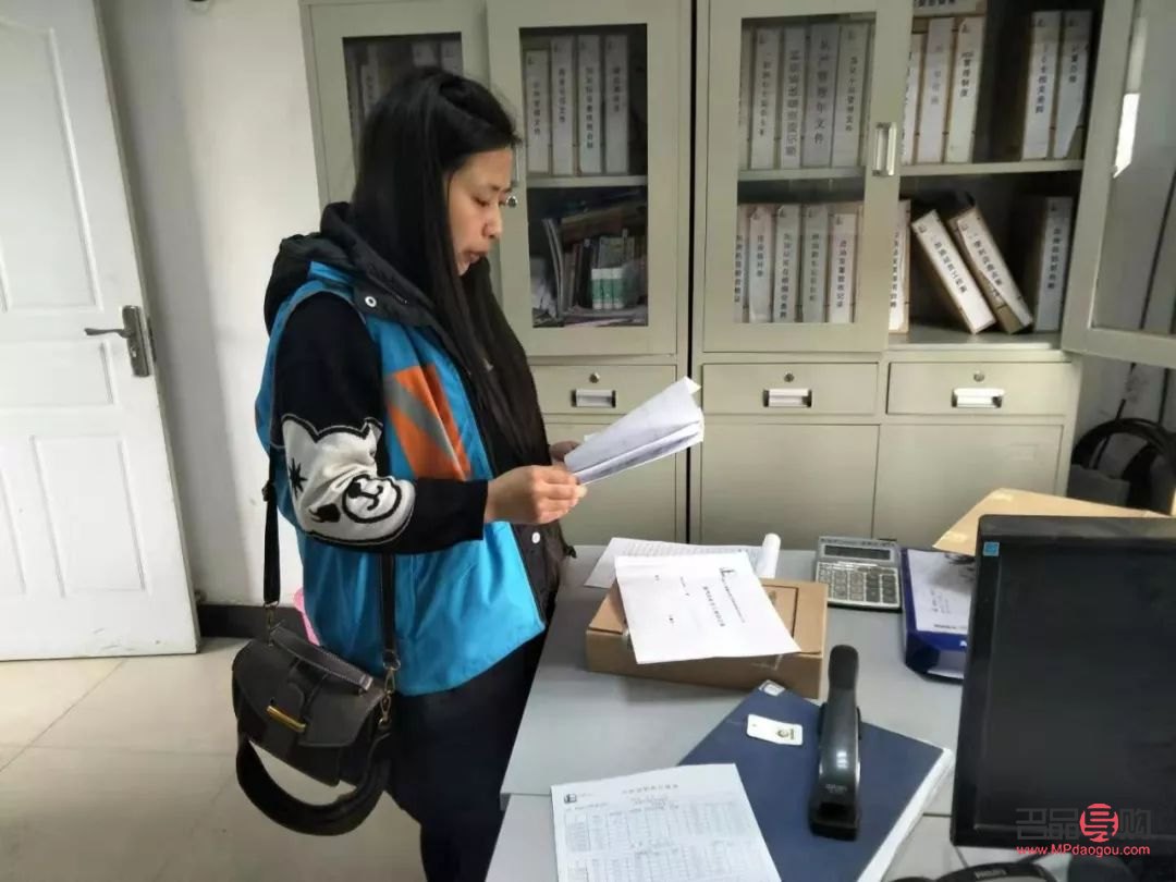 <h1>地表美容師：城市美化的綠色使者</h1>