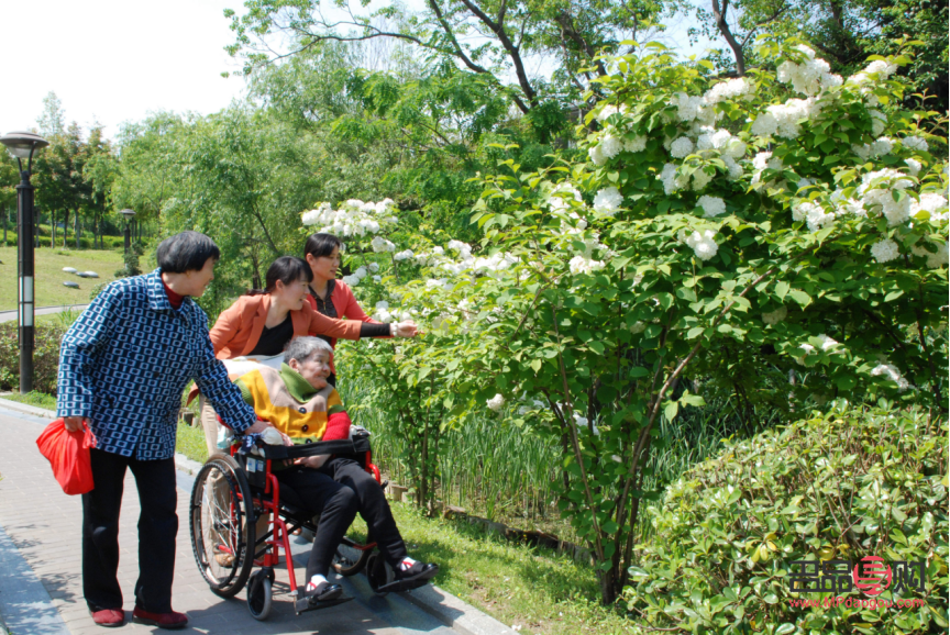 <h1>地表美容師：城市美化的綠色使者</h1>