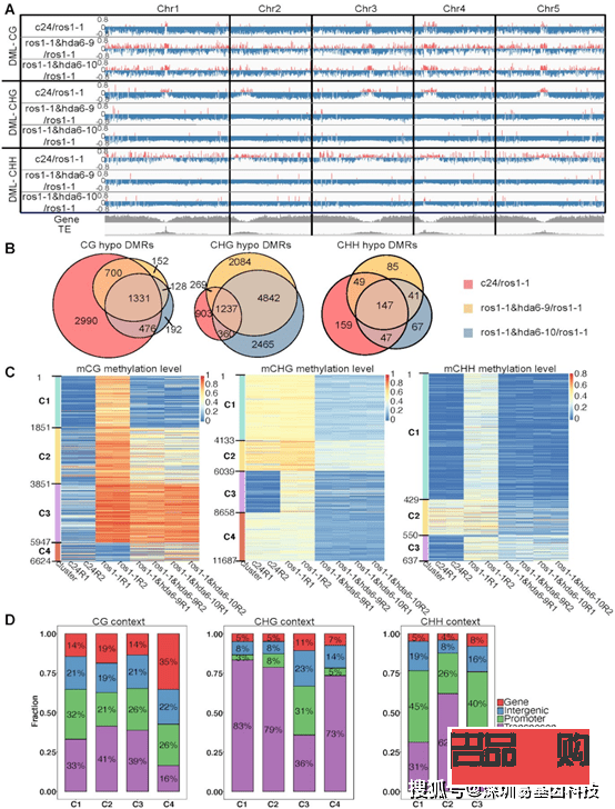 <h3>身體護(hù)理產(chǎn)品推薦：呵護(hù)肌膚，享受舒適生活</h3>