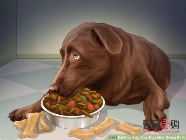 狗月子期間的身體護(hù)理