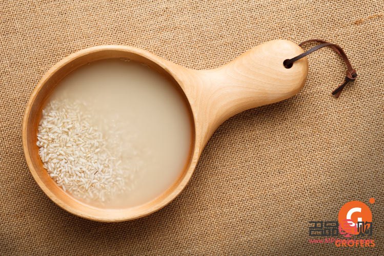 大米水美容嗎(大米水可以美白嗎)
