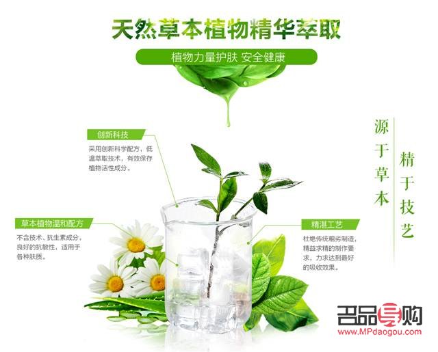 <h3>美容圣草大揭秘：這些草本植物讓你的肌膚煥然一新</h3>