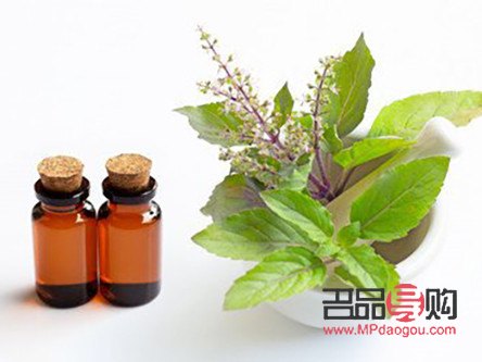 <h3>美容圣草大揭秘：這些草本植物讓你的肌膚煥然一新</h3>