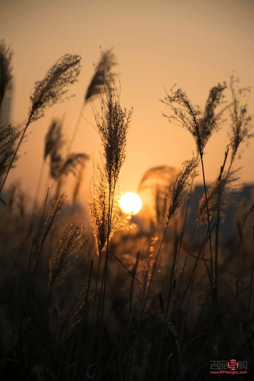 身體護(hù)理考試時(shí)間多長(zhǎng)(身體護(hù)理考試時(shí)間多長(zhǎng)合適)