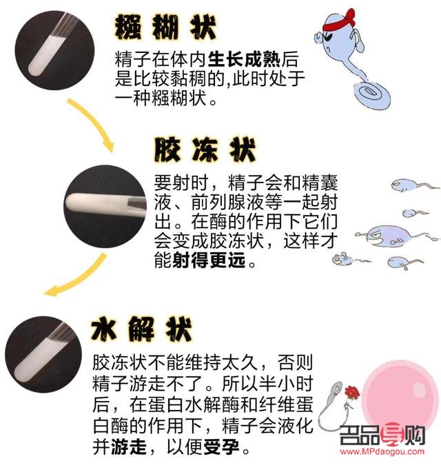 男子的精子美容嗎