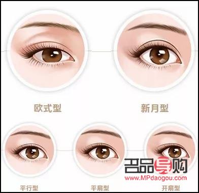 <h3>探索新月型雙眼皮的魅力：明星示范與風尚解析</h3>