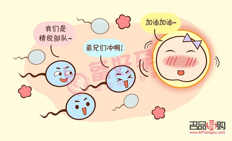 受精后怎么護(hù)理身體好(受精后怎么護(hù)理身體好呢)