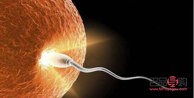 受精后怎么護(hù)理身體好(受精后怎么護(hù)理身體好呢)