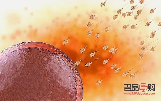 受精后怎么護理身體好(受精后怎么護理身體好呢)