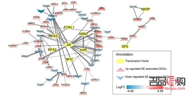<h3>身體皮膚護理之道：呵護每一寸肌膚</h3>
