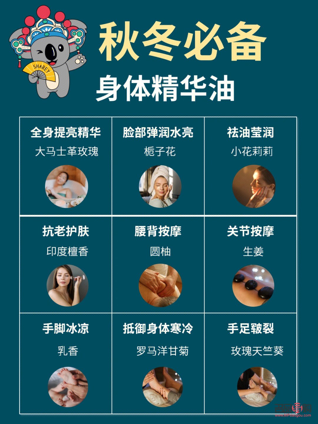 身體精油怎么護(hù)理(身體精油怎么護(hù)理最好)